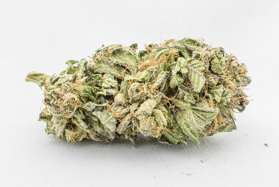 Comatose-Indica-1.jpg Comatose Indica - Image 1