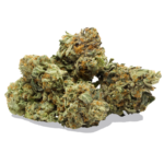Master Kush